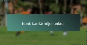 Nani: Karriärhöjdpunkter