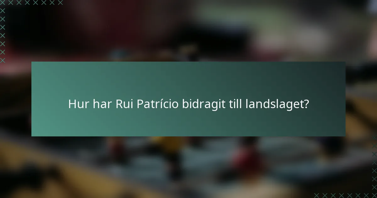 Hur har Rui Patrício bidragit till landslaget?